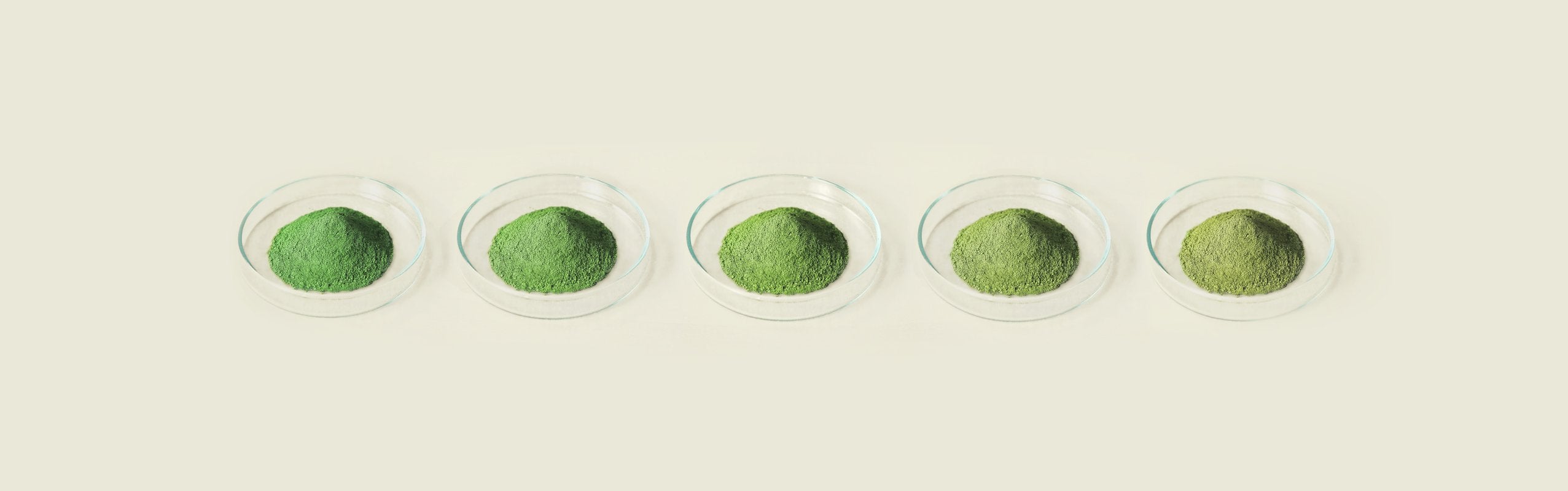 Our Matcha Range